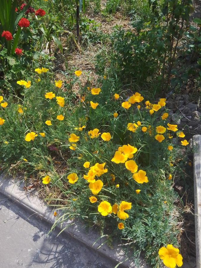 Casa De Mama Valle - אורובמבה מראה חיצוני תמונה